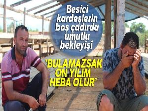 Antalya'da kiralık tır şoförünün 25 büyükbaş hayvanla ortadan kaybolduğu iddiası