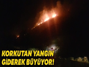 Aydın'da yangın; Makilik alanda başlayan yangın ormana doğru ilerliyor