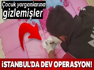 İstanbul'da 12 milyonluk yarım ton uyuşturucu ele geçirildi