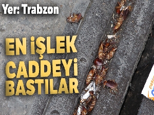 Trabzon'un en işlek caddesini 'Kakalaklar' bastı