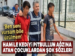 Hamile kediyi pitbullun ağzına atan çocuklardan şok sözler