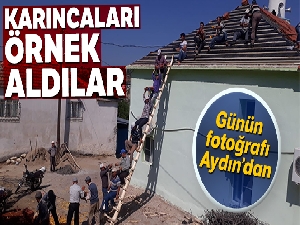 Karıncaları örnek alan köylüler sorunu yarım saatte çözdü