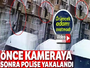 Örümcek adamı aratmayan hırsız önce kameraya sonra polise yakalandı