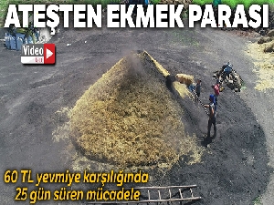 Ateşten ekmek parası