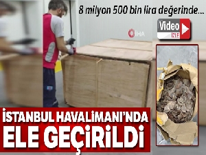 İstanbul havalimanı'nda 1 ton 217 kilogram Pangolin pul ele geçirildi