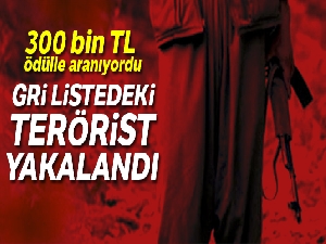 Gri kategoride yer alan terörist yakalandı