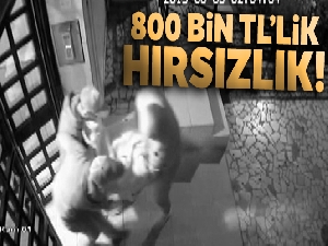 İçerisinde 800 bin TL'lik döviz ve ziynet eşyası bulunan kasayı çalan hırsızlar yakalandı