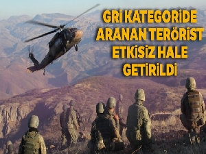 Gri Kategoride aranan terörist etkisiz hale getirildi
