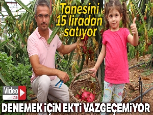Denemek için ekti vazgeçemiyor