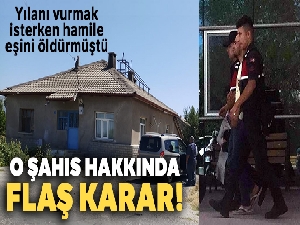 Yılanı vurmak isterken hamile eşini öldüren şahıs adli kontrol şartıyla serbest