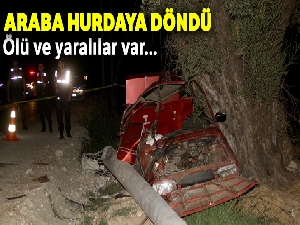 Muğla'da otomobil elektrik direğine çarptı, 2 kişi öldü