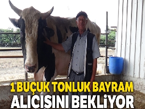 1 buçuk tonluk 'Bayram' alıcısını bekliyor