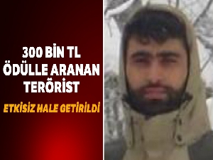 Gri kategoride yer alan terörist etkisiz hale getirildi