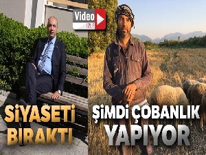Siyaseti bırakıp çobanlık yapıyor