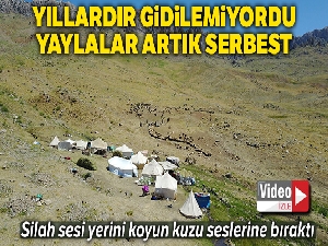 Yıllardır gidilemeyen yaylalarda silah sesi yerini koyun kuzu seslerine bıraktı