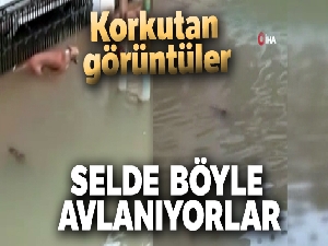 Selde nehirden çıkan timsahlar sular altındaki sokaklarda avlanıyor