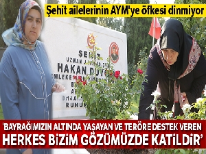 Şehit ailelerinin AYM'ye öfkesi dinmiyor