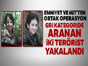 Gri kategoride aranan iki terörist yakalandı
