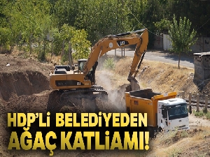 HDP'li belediyeden ağaç katliamı