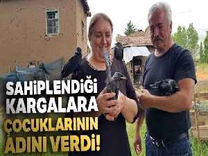 Sahiplendiği kargalara çocuklarının adını verdi