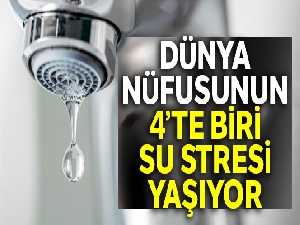 Dünya nüfusunun 4'te biri su stresi yaşıyor
