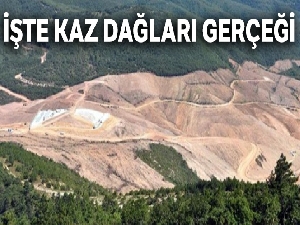İşte Kaz Dağları gerçeği