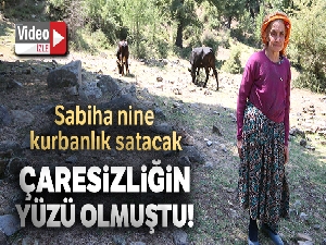 Çaresizliğin yüzü olan Sabiha nine kurbanlık satacak