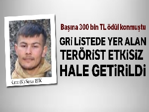 Gri kategorideki terörist etkisiz hale getirildi