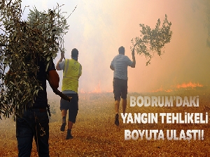 Bodrum'daki orman yangını tehlikeli boyuta ulaştı