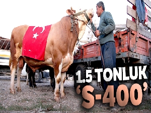 1.5 tonluk 'S-400' 17 bin 250 TL'ye satıldı