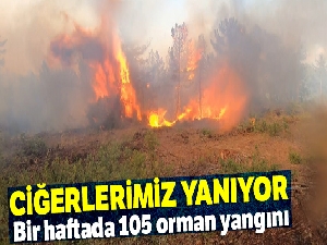 Ciğerlerimiz yanıyor |Bir haftada 105 orman yangını
