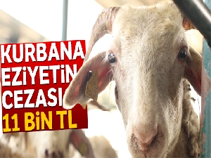 Kurbana eziyetin cezası 800 ile 11 bin lira arası değişiyor