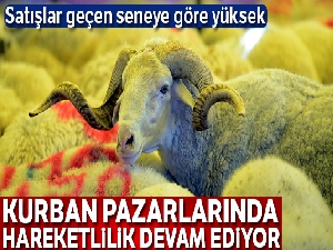 Geçen seneye oranla kurban satışı yüksek