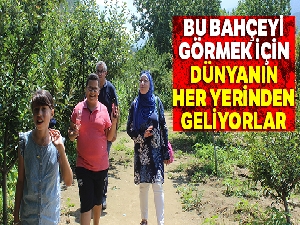 Bu bahçeyi görmek için dünyanın her yerinden geliyorlar
