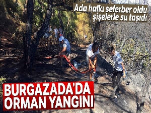 Burgazada'da orman yangını kontrol altına alındı