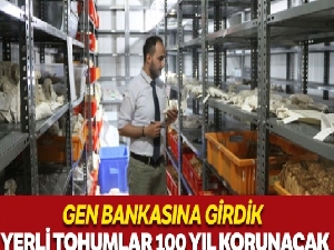 Tohumların kozmik odası