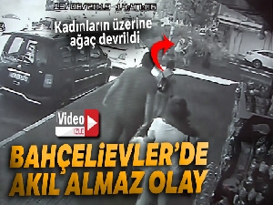 Bahçelievler'de akıl almaz olay: Kadınların üzerine ağaç devrildi