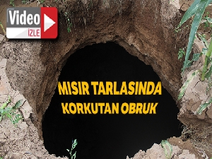 Konya'da mısır tarlasında korkutan obruk