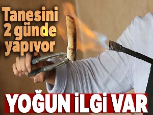 El yapımı kemik taraklara büyük ilgi