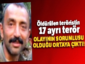 Öldürülen teröristin 17 ayrı terör olayının sorumlusu olduğu ortaya çıktı