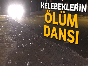 Kelebeklerin Ölüm dansı başladı