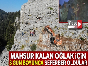 Mağarada mahsur kalan oğlak için dağları deldiler