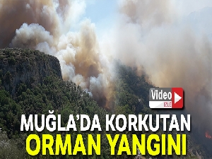 Milas'taki orman yangını tarım arazilerine sıçradı
