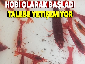 Hobi olarak başladı talebe yetişemiyor