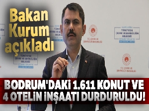 Bakan Kurum: 'Bin 611 konut ve 4 otelin inşaatı durduruldu'