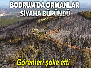 Bodrum'da siyaha bürünen ormanlar havadan görüntülendi