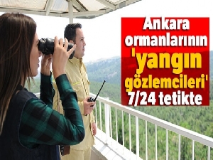 Ankara ormanlarının 'yangın gözlemcileri' 7/24 tetikte