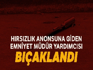 Yüksekova ilçe emniyet müdür yardımcısı bıçaklandı