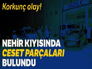 Fırat nehri kıyısında ceset parçaları bulundu