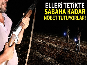 Bir yıllık emeğe tüfekli koruma